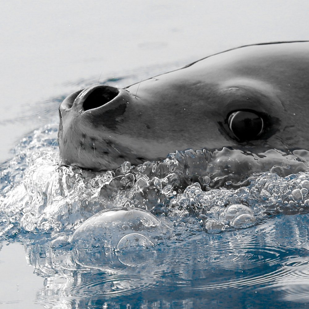 Photograph by Levi Biteng