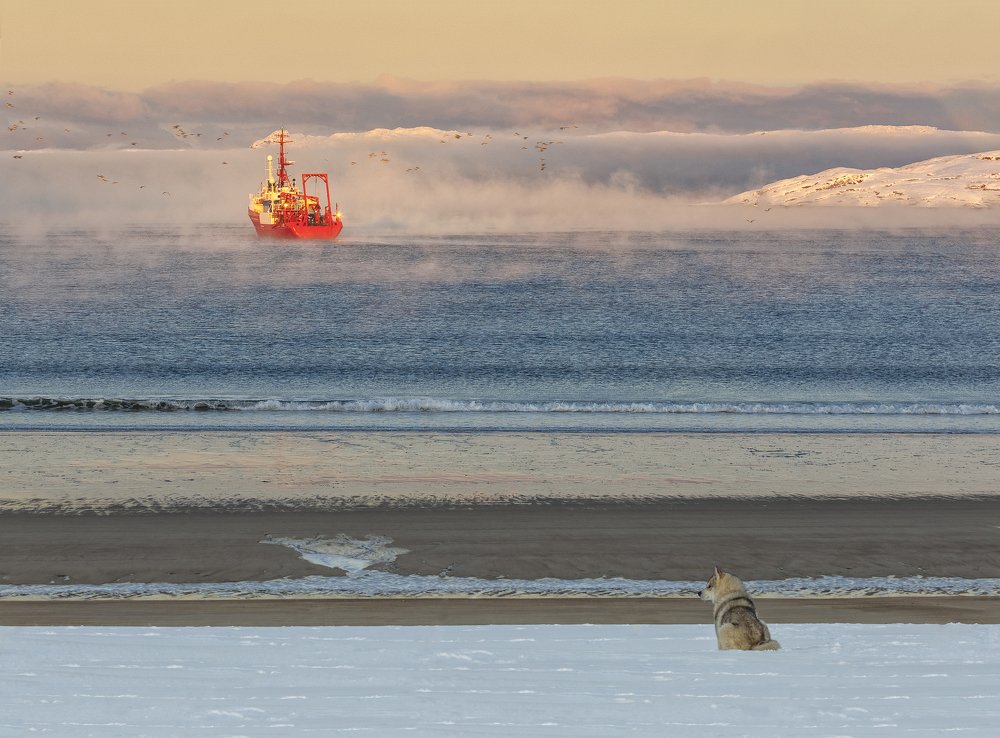 Жди меня и я вернусь..