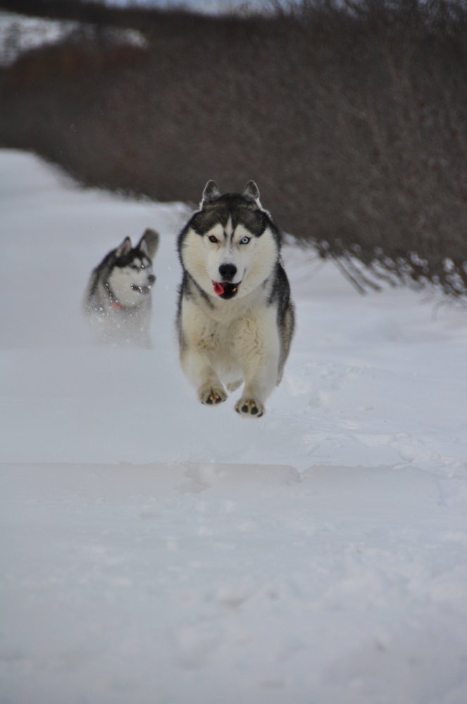 Photograph by Евгений Захаров