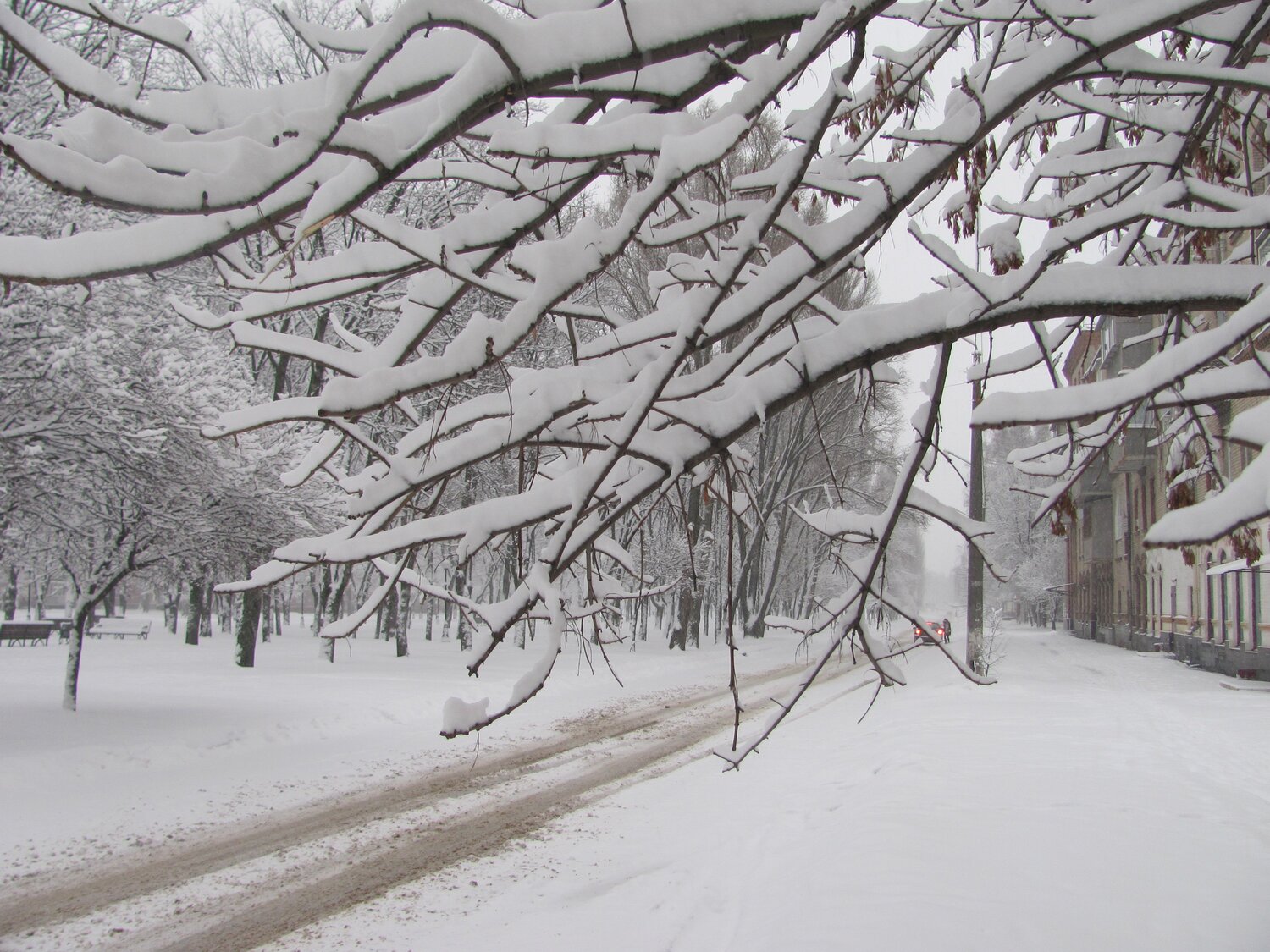 Photo #4385208