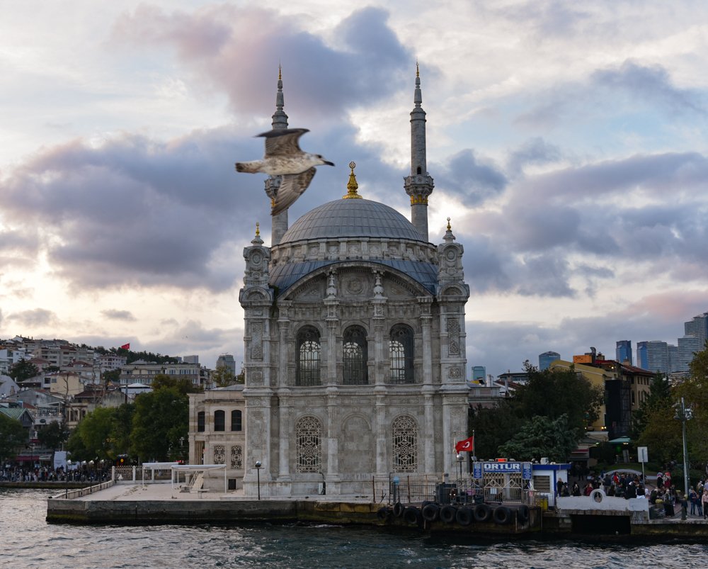 Фотография автора Gabriela Bonilla