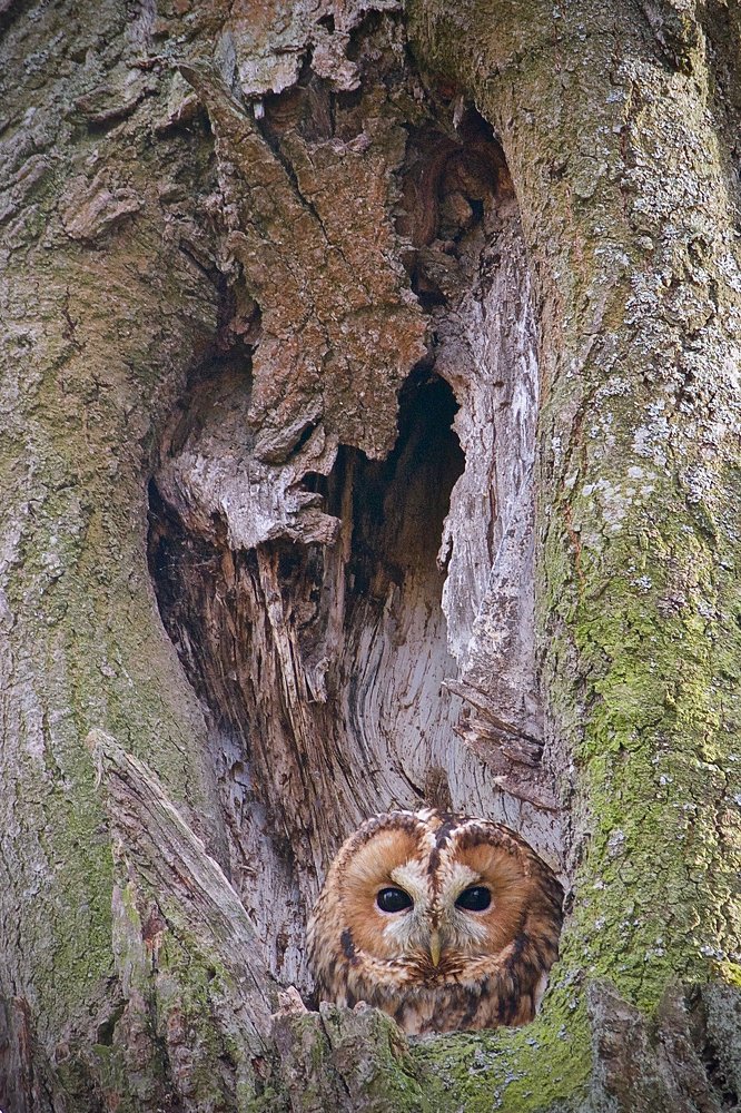 В гостях у сказки.