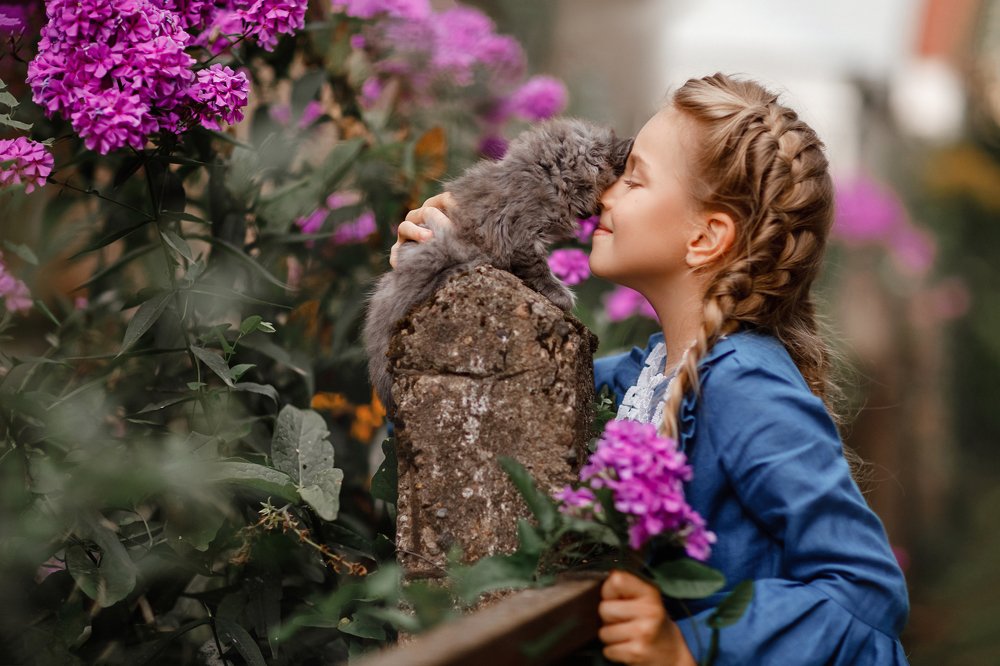 Photograph by Сонила Ужва