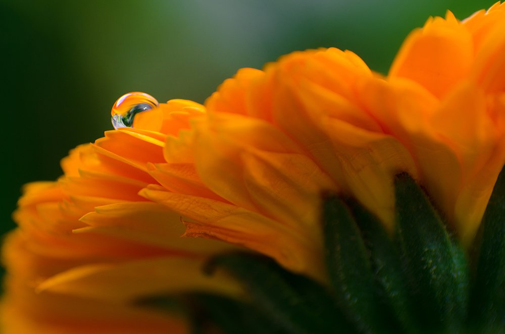 Photograph by Sahar Jafari