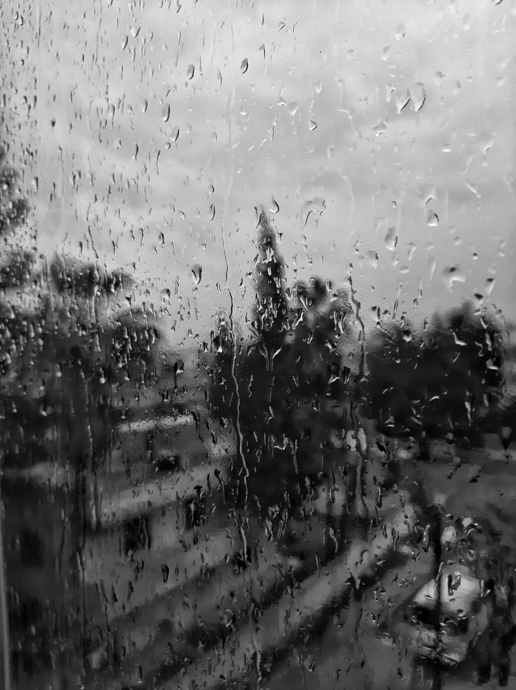 Photograph by Osama Khaleel