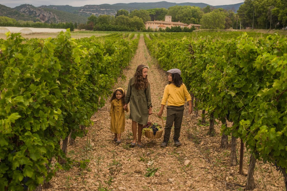 Сбор винограда перед дождем.