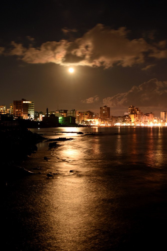 Photograph by Hussein swaidan