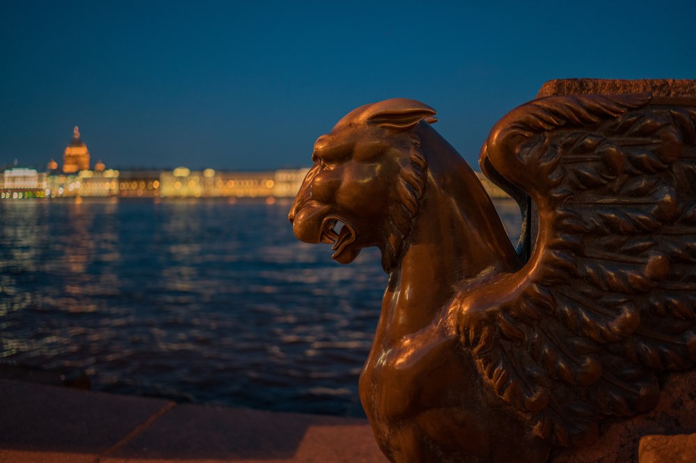 Оберегающий взгляд Гриффона \ Griffon's watchful eye