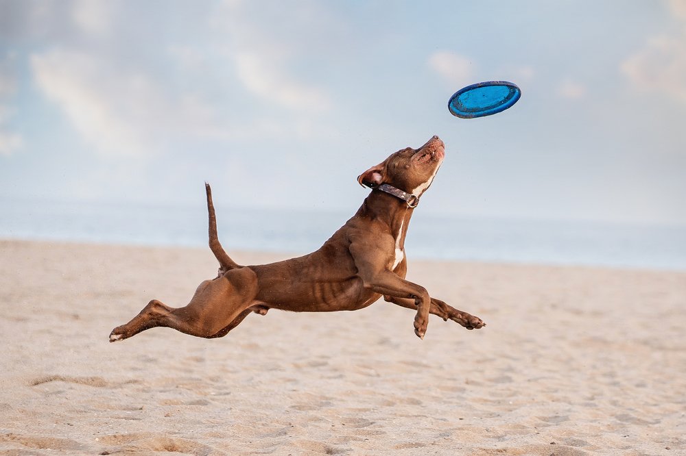 Photograph by Наталья Брежнева