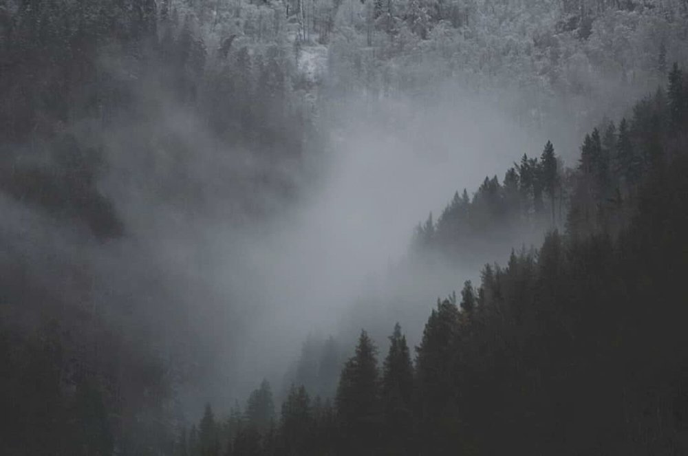 Времена года: Алтай