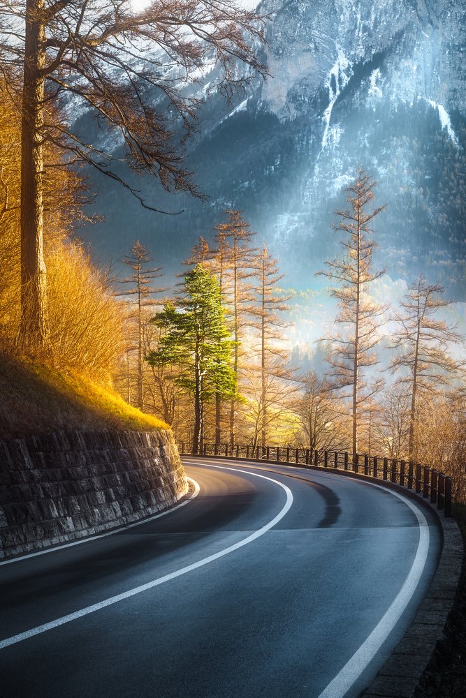 Photograph by Mindaugas Adakauskas