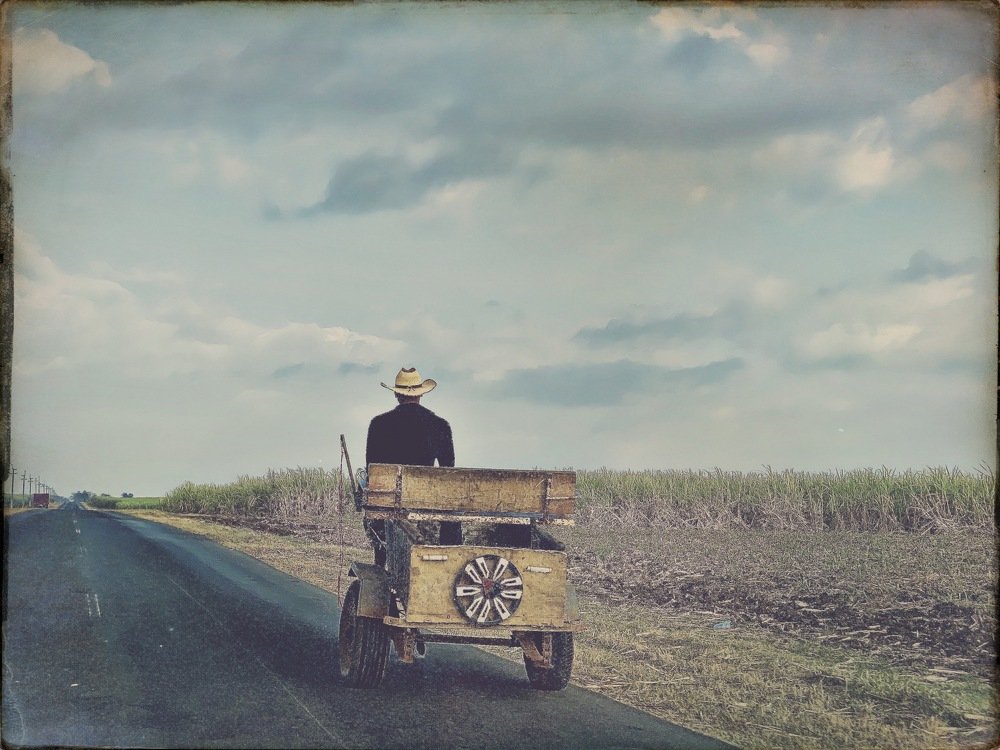 Photograph by Manuela Matos Monteiro