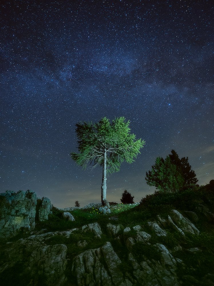 Photograph by Андрей Сенкевич