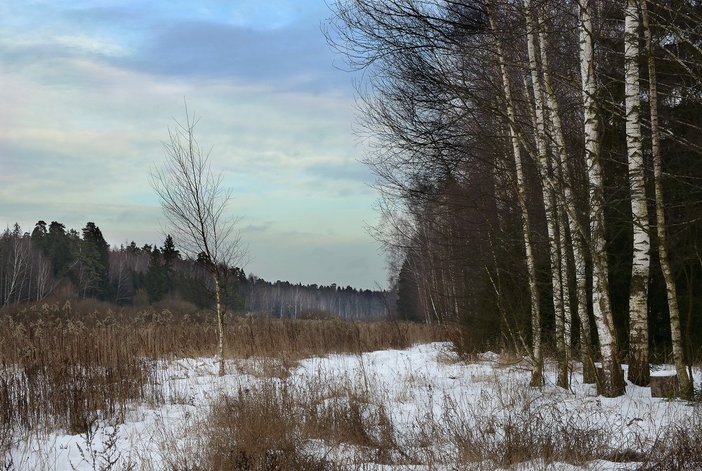 Фотография автора Елена