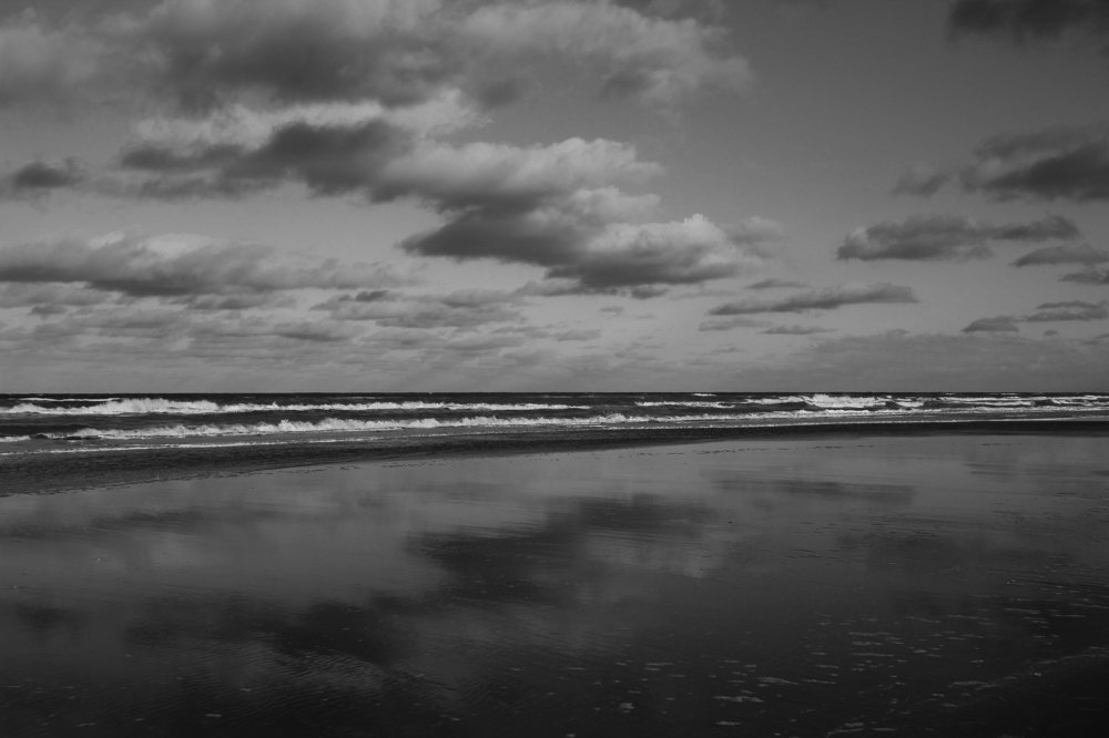 Photograph by Patricia Delionardis