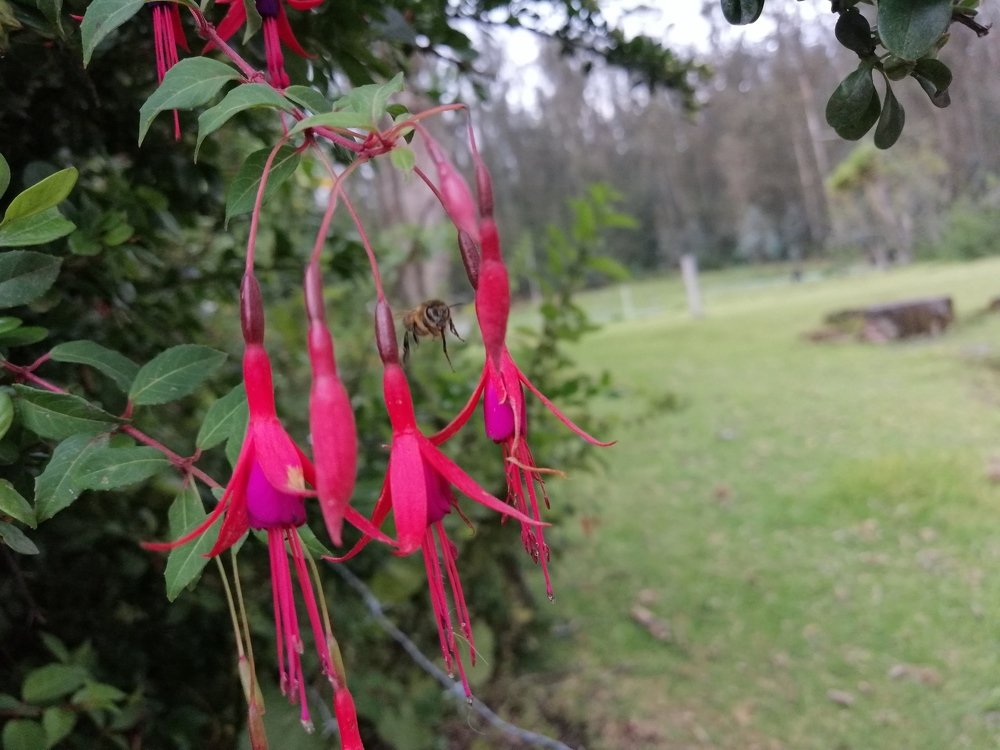 Ecuador