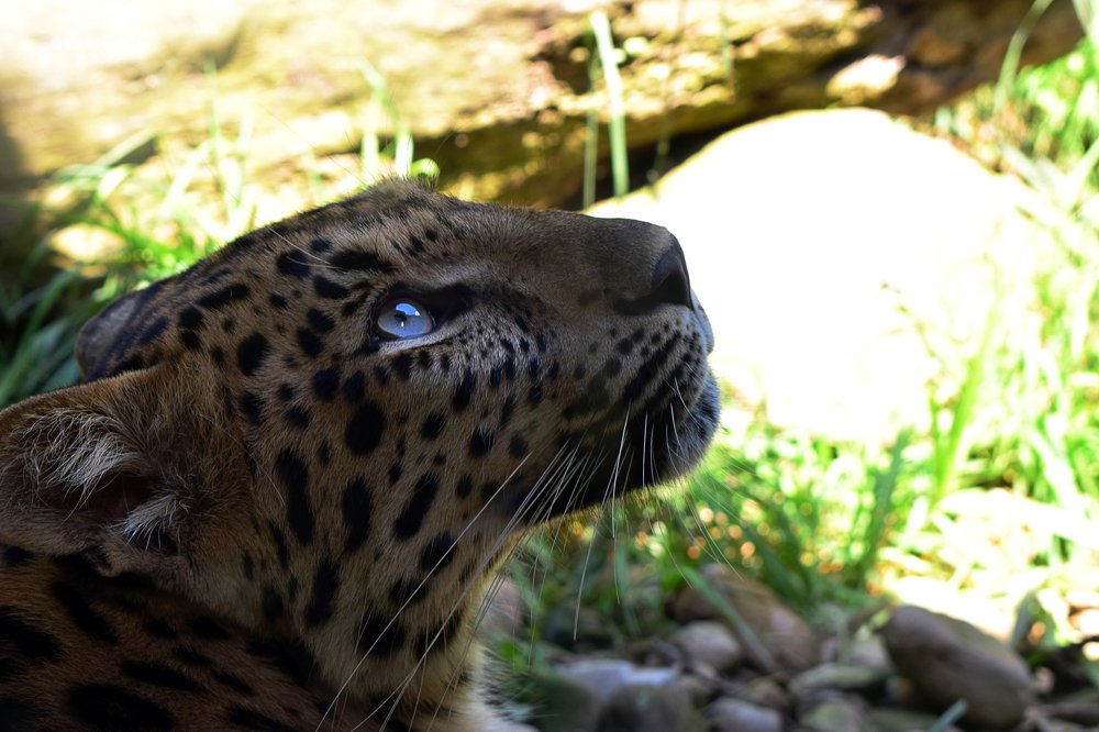 Photograph by Diana Cardenas