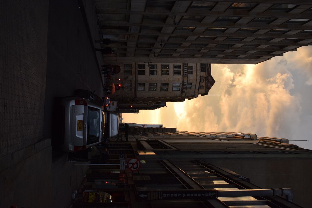 Photograph by Diana Cardenas