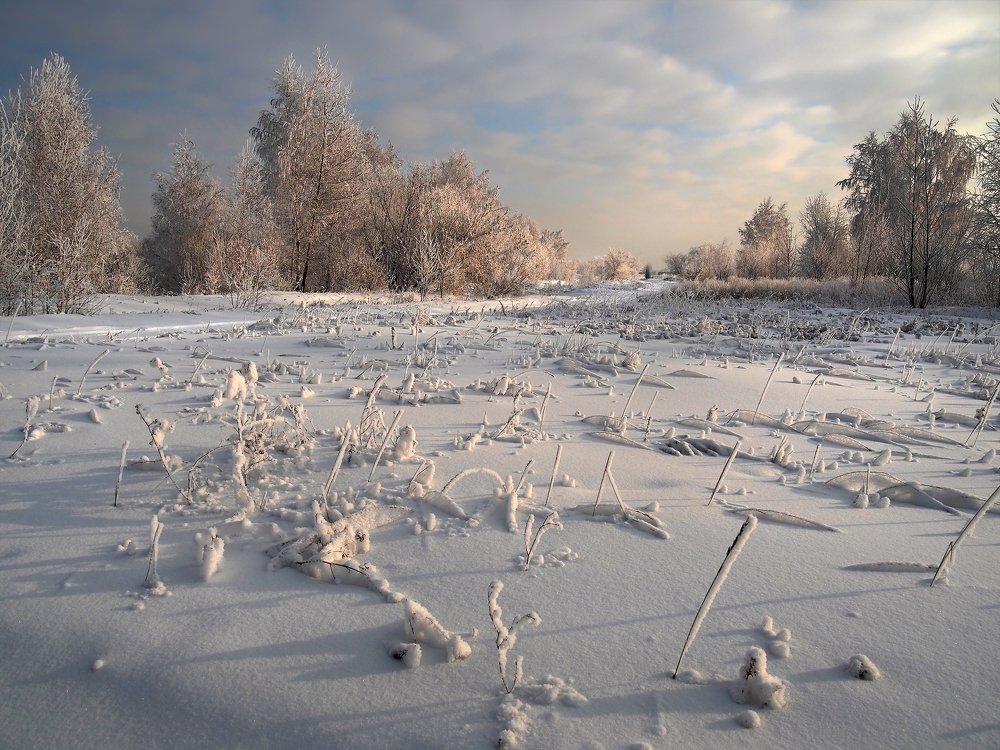 Photograph by Александр Попов