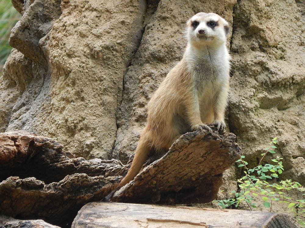 Photograph by Tricia waddell