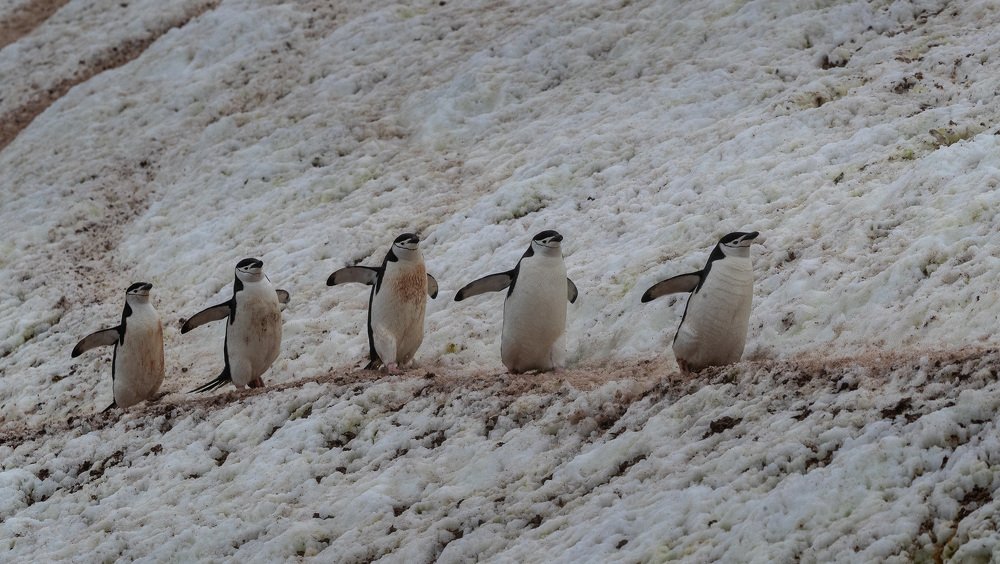 Photograph by Александр Лозицкий