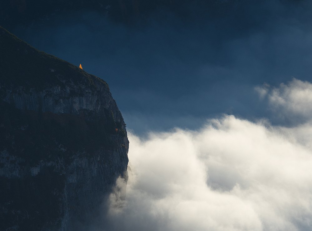 Single larch on mountain slope.
