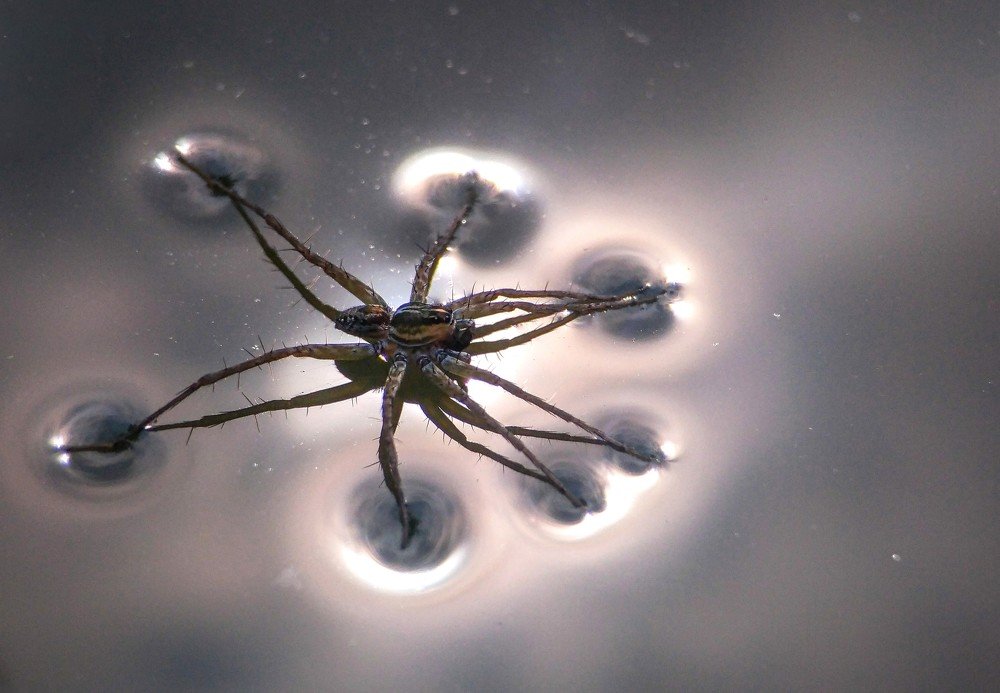 Walking on melted metal