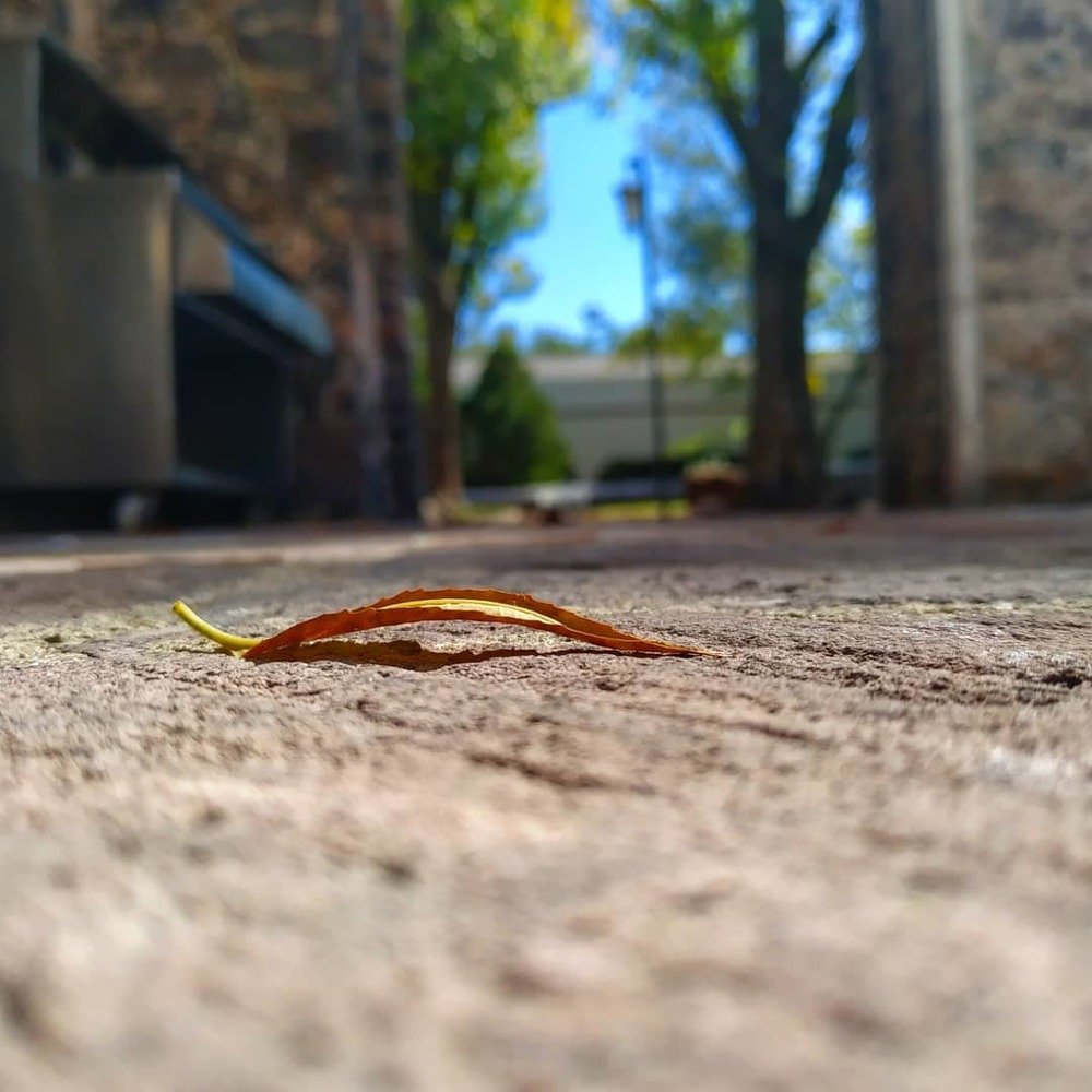 Photograph by Rubén Rodríguez