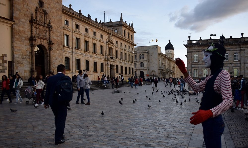 Photograph by Diana Cardenas