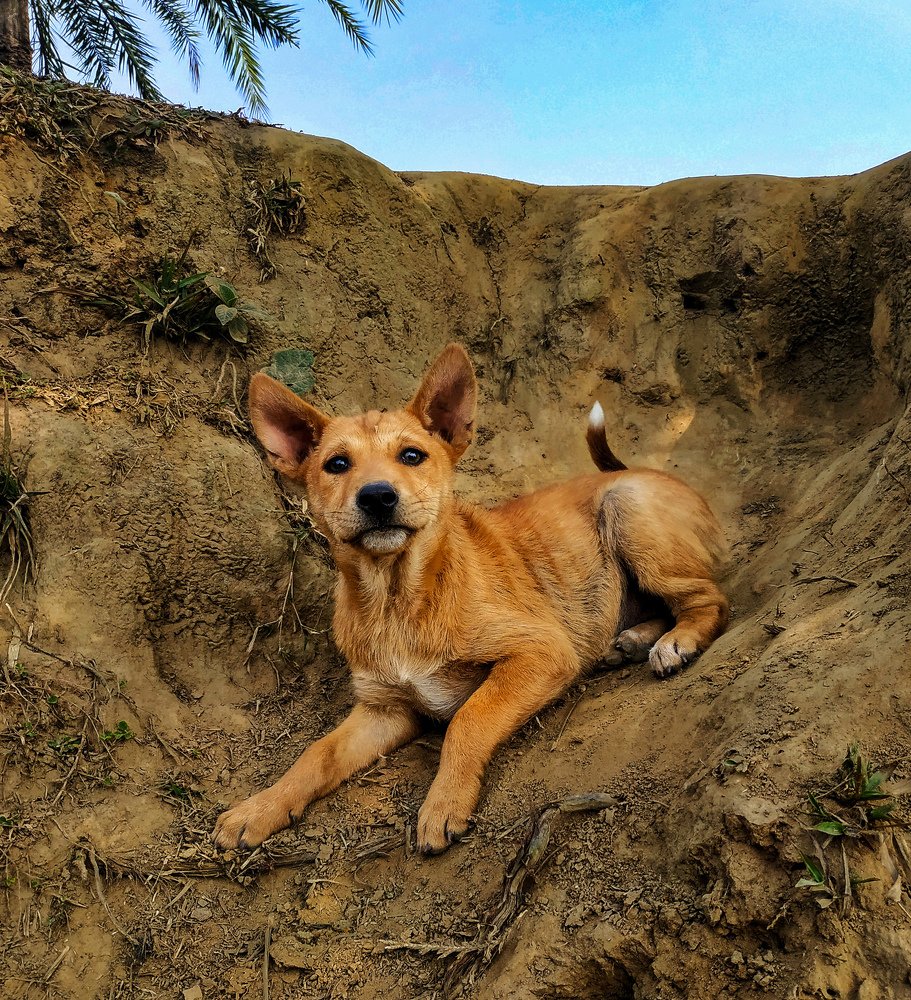 Photograph by Deep Chakraborty