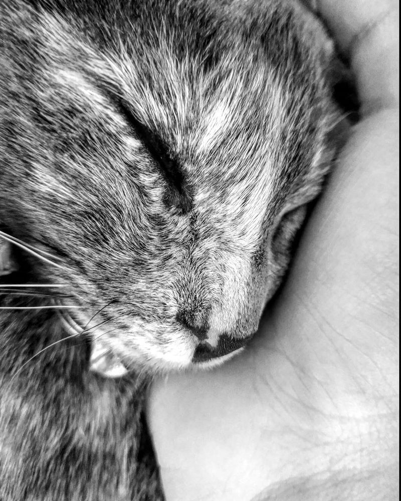 Photograph by Rubén Rodríguez