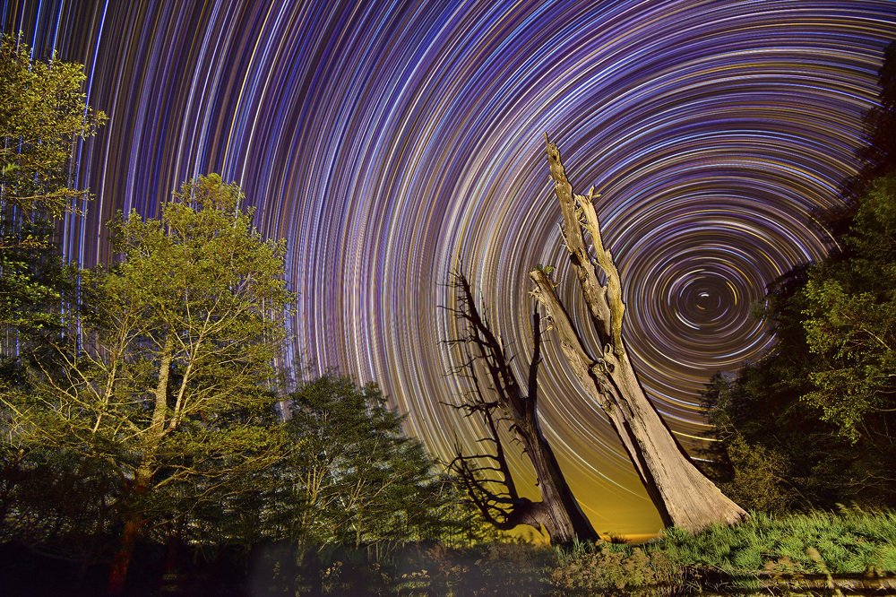 Photograph by Hsiaohsin Chen