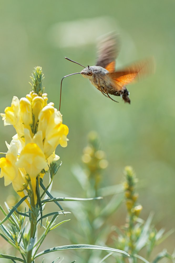 Замедляя время