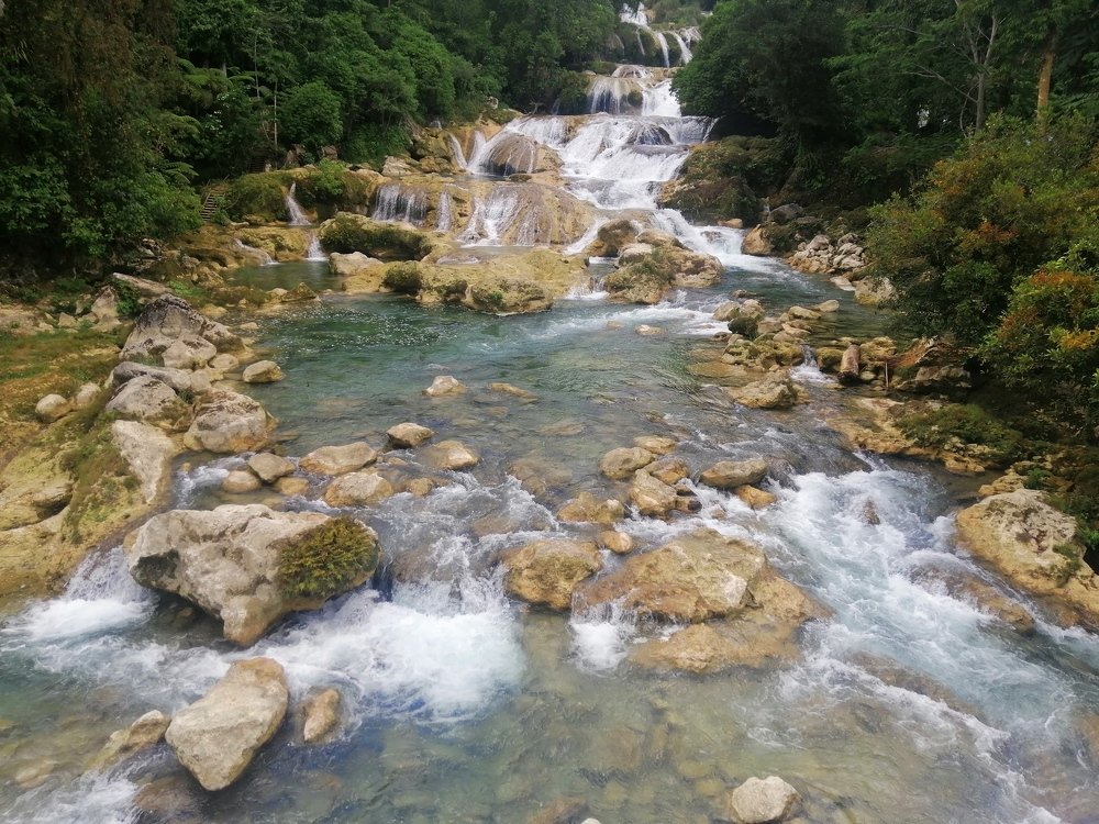 Photo #4386237