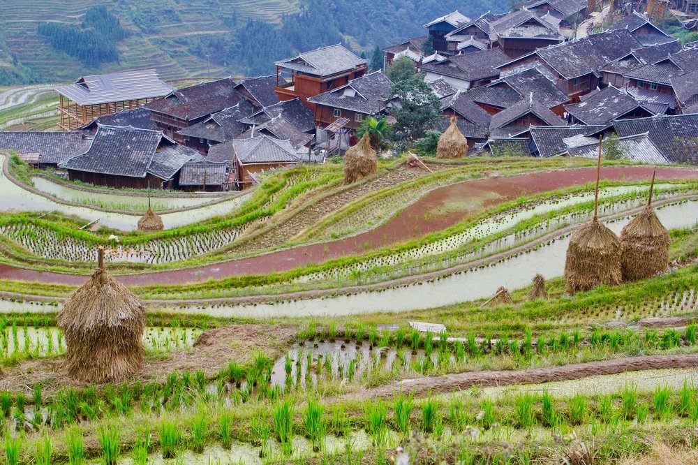 Photograph by Pei Wei Lim