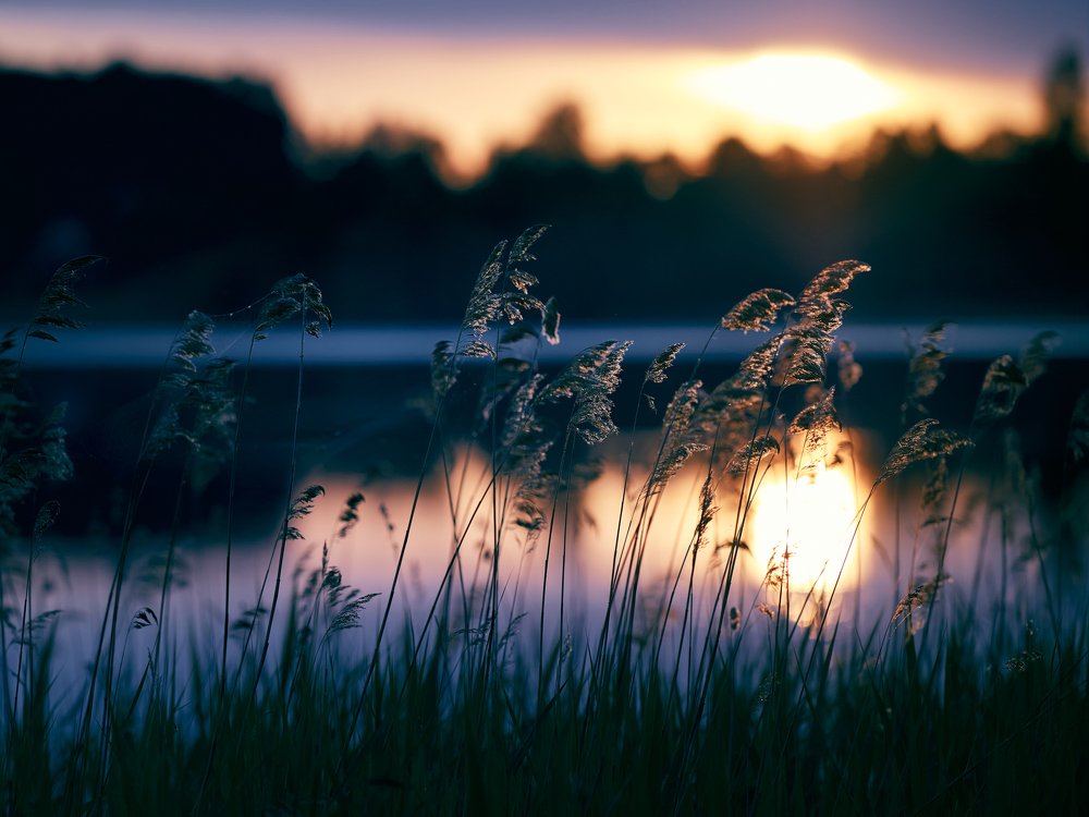 Июньский вечер