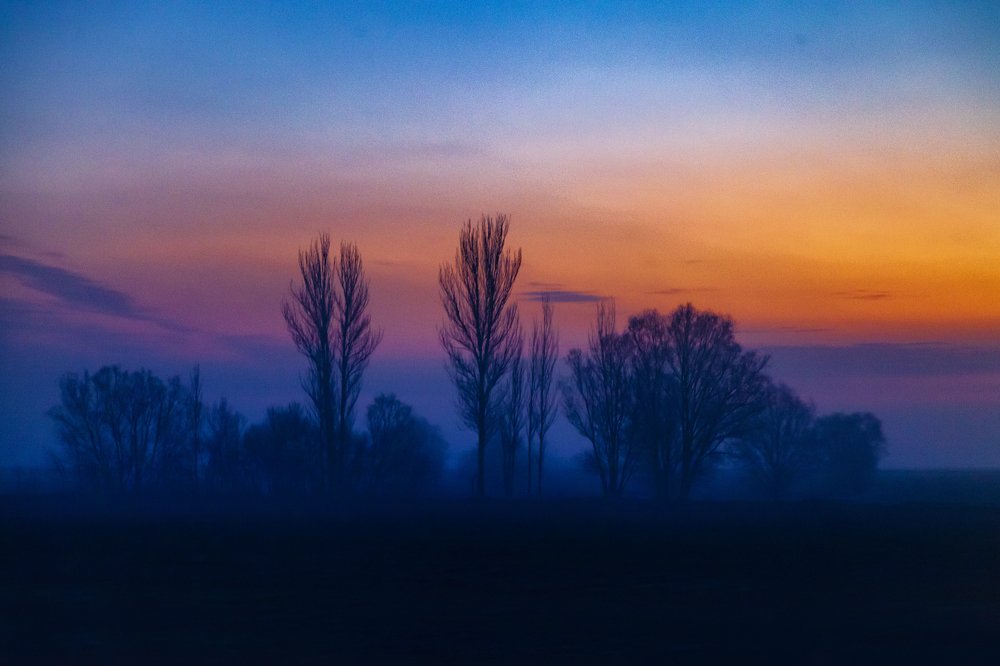 Photograph by Fayaz Bahram