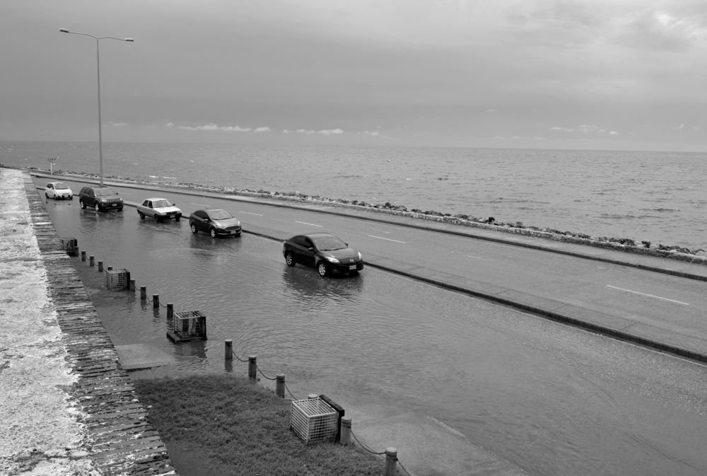 Photograph by Laura González