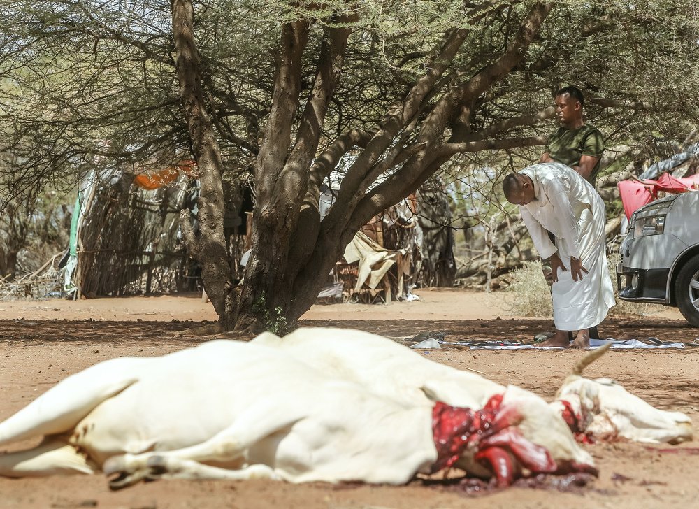 Power and independence