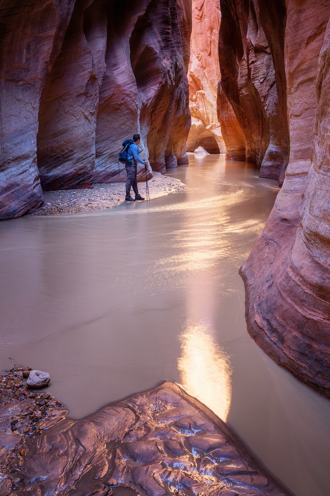 Фотография автора Alex Mironyuk