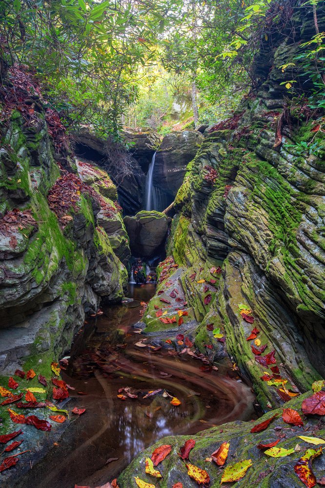 Фотография автора Alex Mironyuk