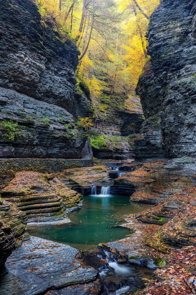 Фотография автора Alex Mironyuk