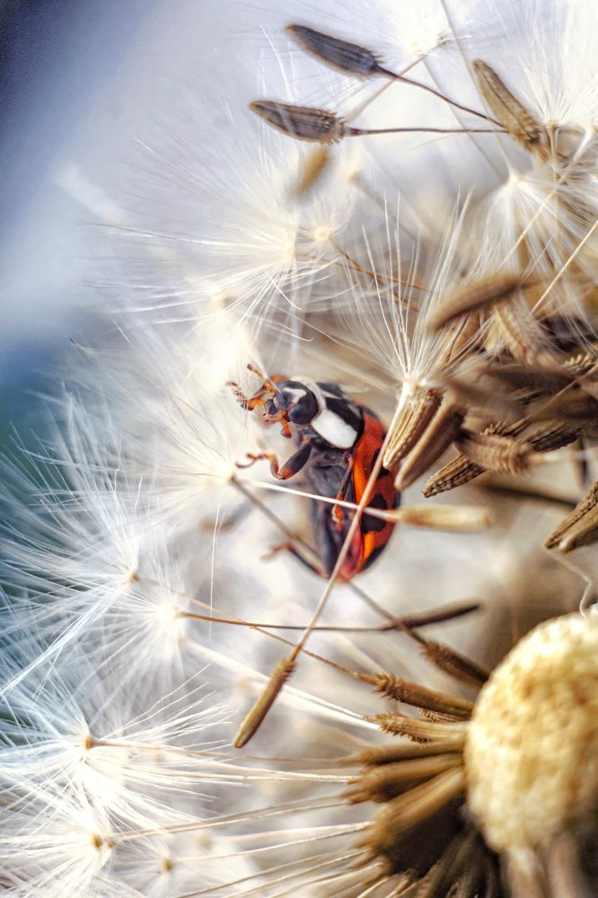Photograph by Евгений Горланов