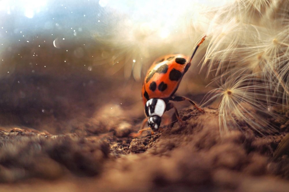 Photograph by Евгений Горланов