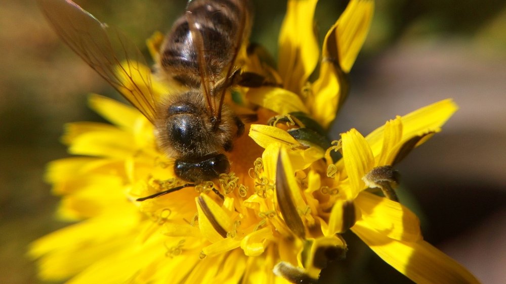 Photograph by Татьяна Кабанец