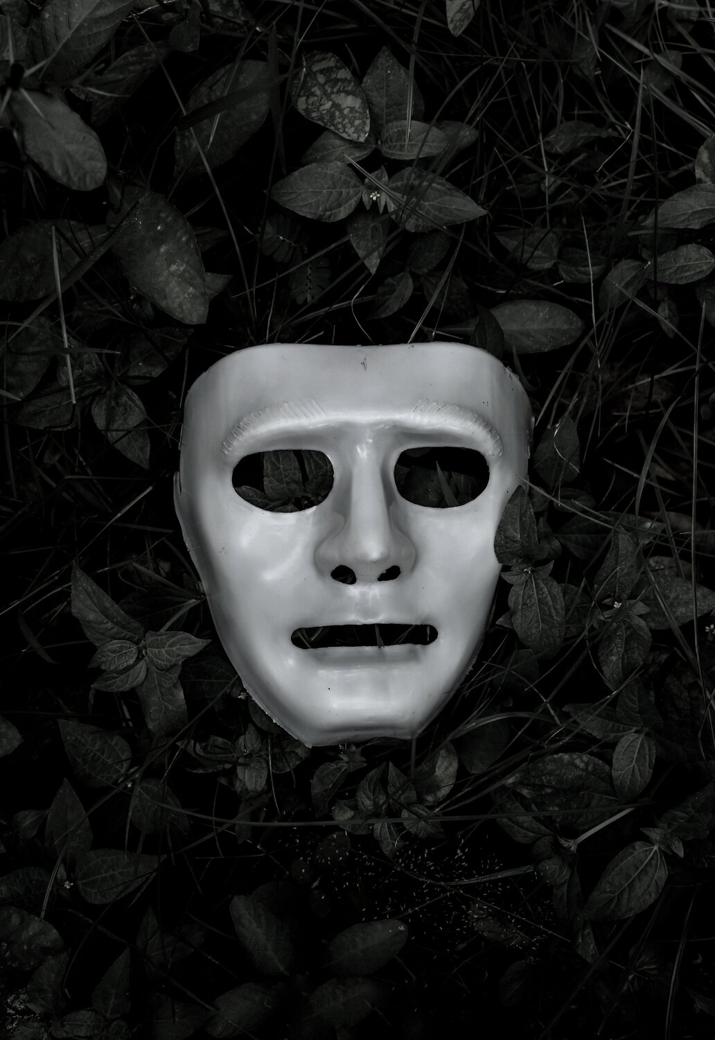 Photo #4386546