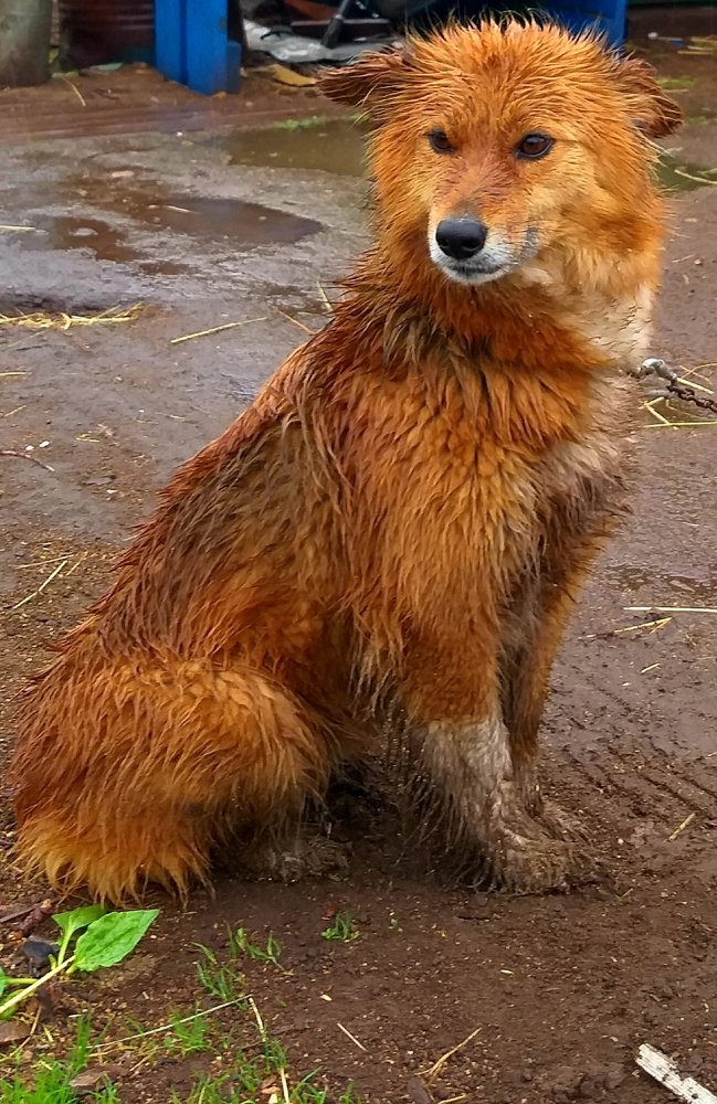 Photograph by Светлана Середина