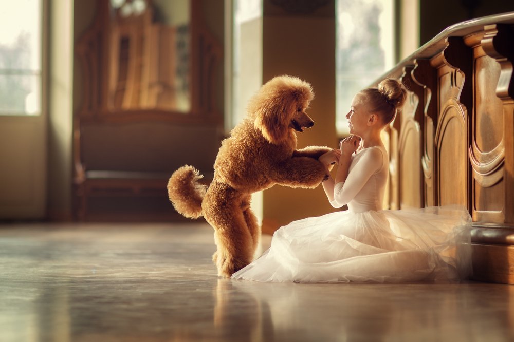 Верный друг