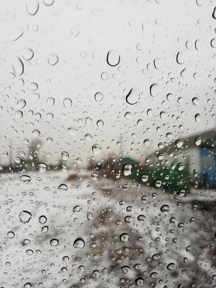 Photo #4386772