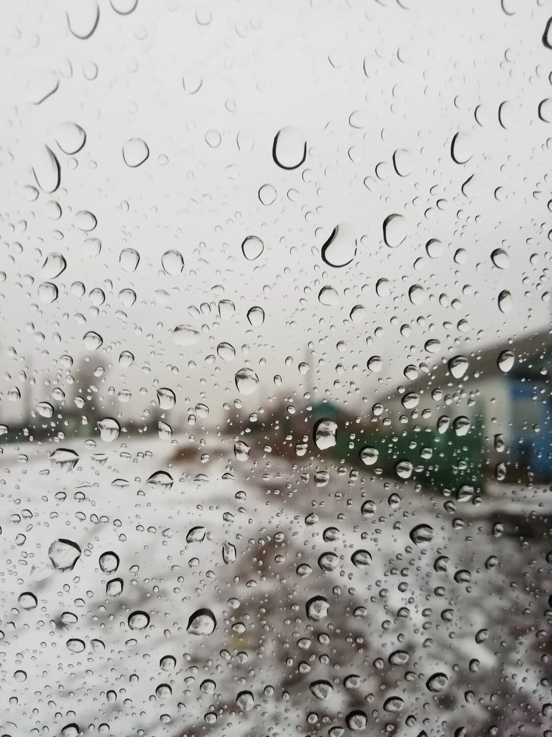 Photo #4386772